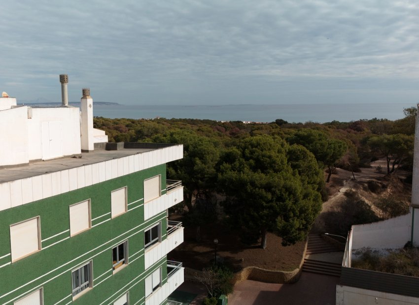 Nouvelle construction - Appartement -
Guardamar del Segura - Guardamar Del Segura