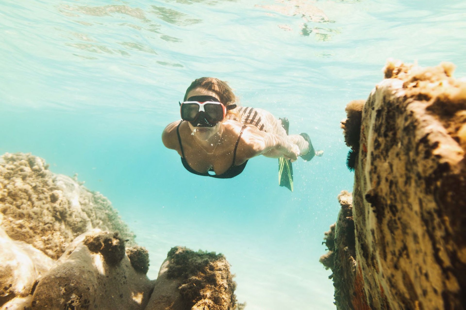 Nouvelle construction - Appartement -
La Manga del Mar Menor - La Manga Del Mar Menor