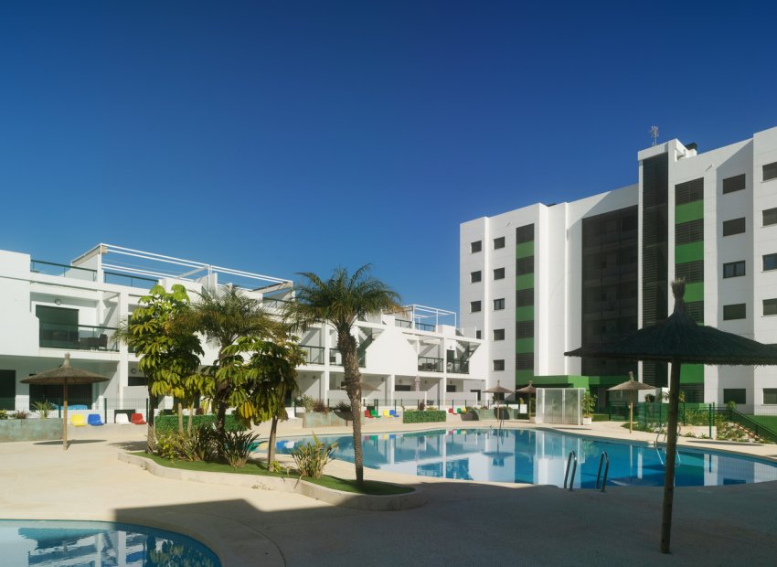 Nouvelle construction - Appartement -
Pilar de la Horadada