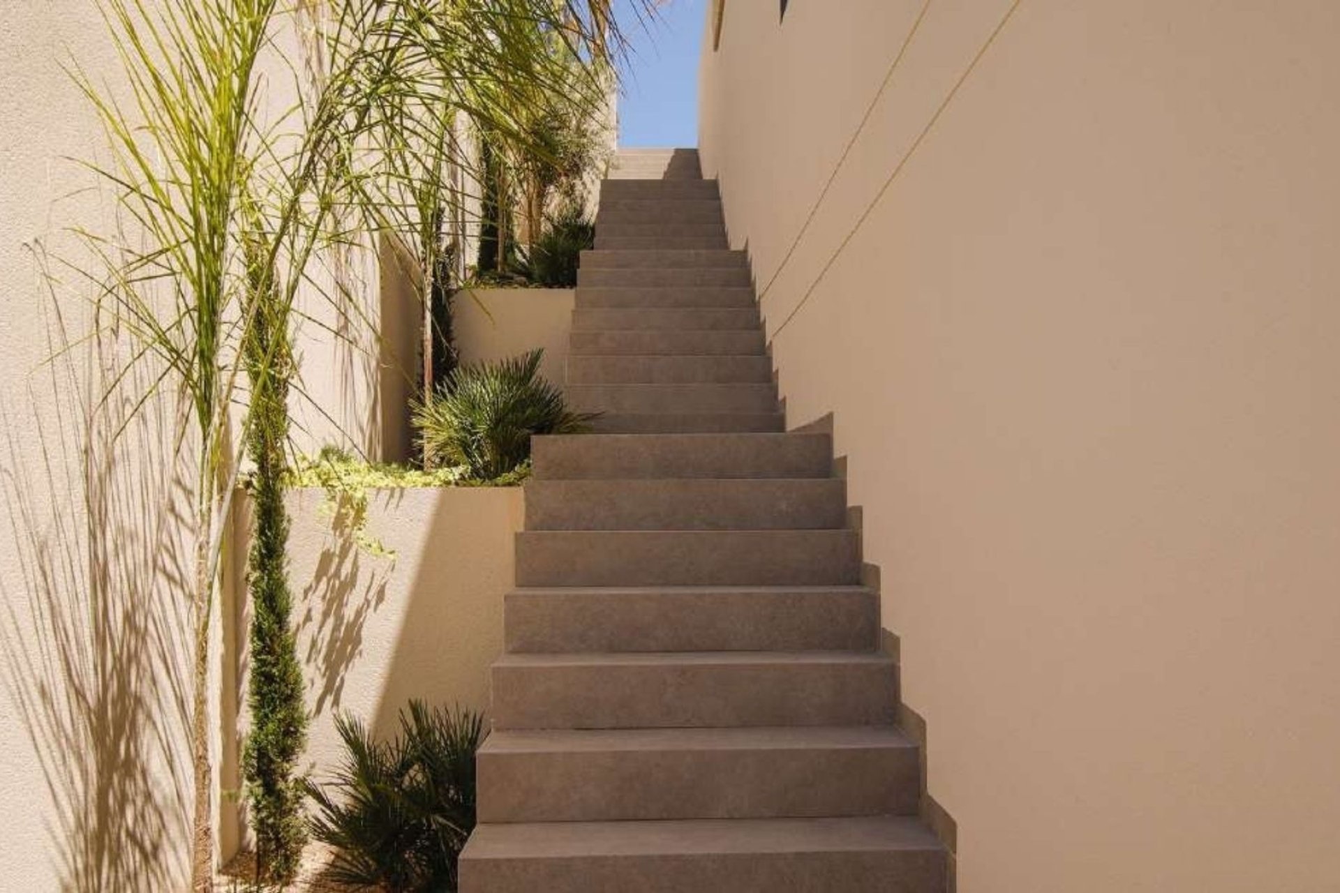 Nouvelle construction - Détaché / Villa -
La Marina