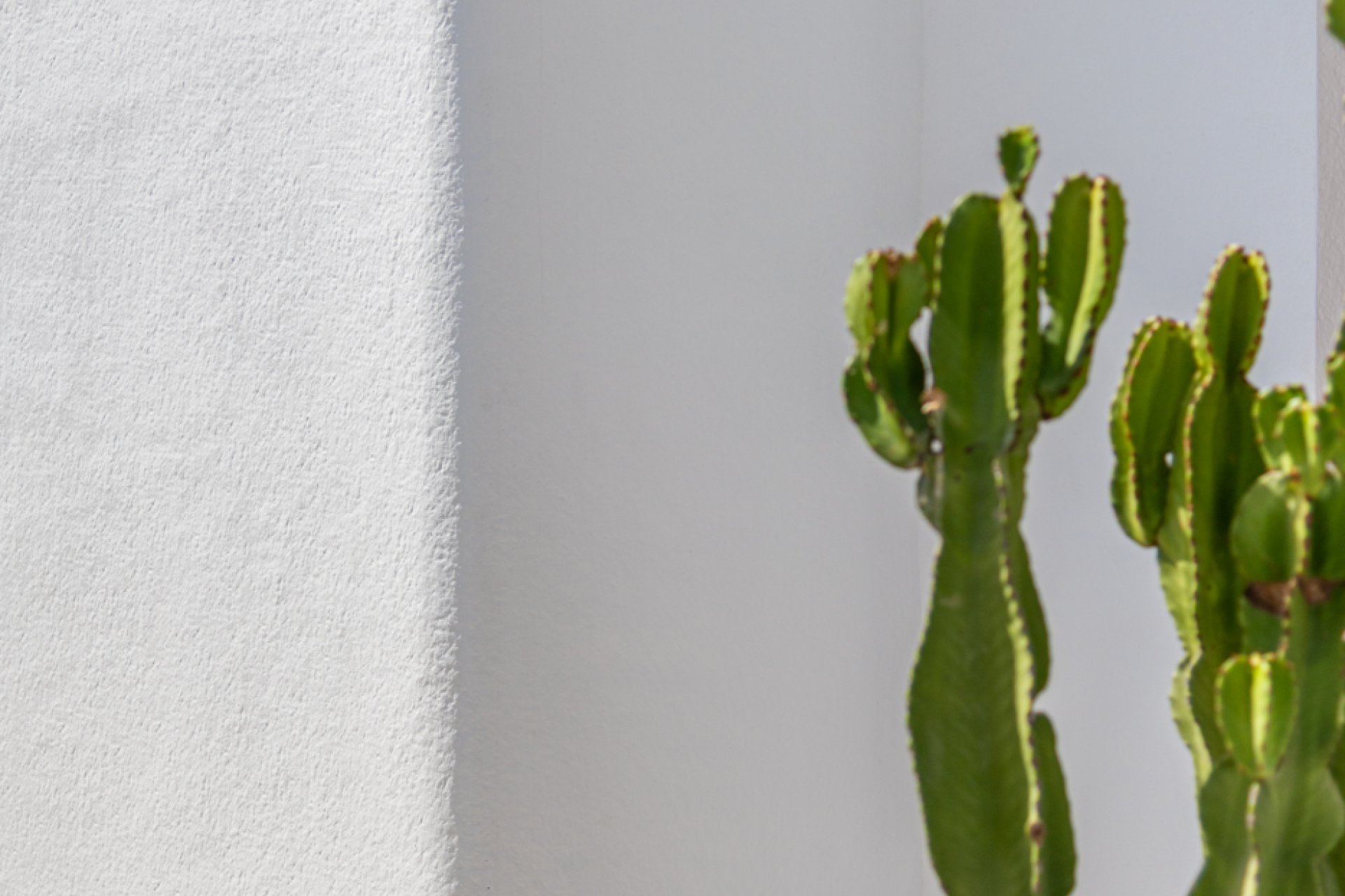 Nouvelle construction - Détaché / Villa -
Los Alcazares - Los Alcázares