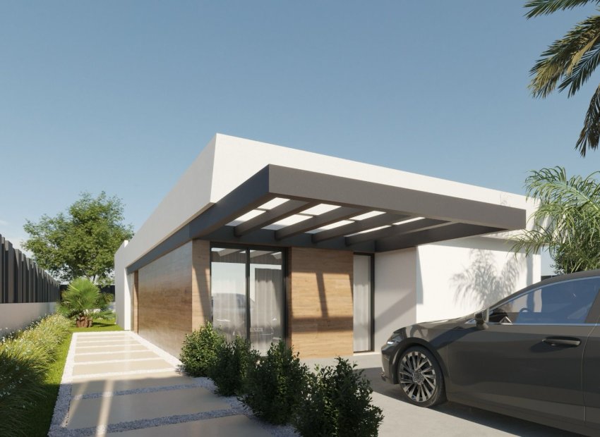 Nouvelle construction - Détaché / Villa -
Molina De Segura - Molina de Segura