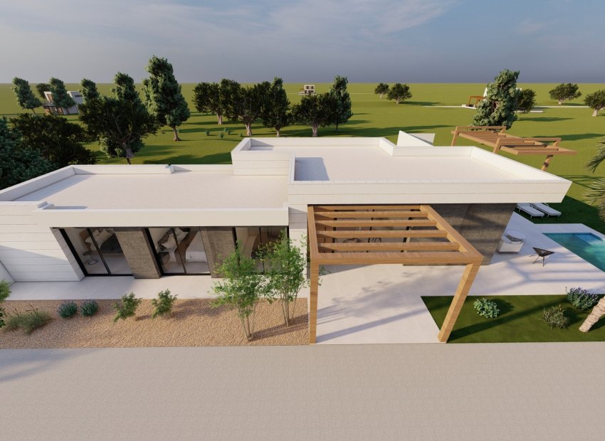 Nouvelle construction - Détaché / Villa -
Pilar de la Horadada