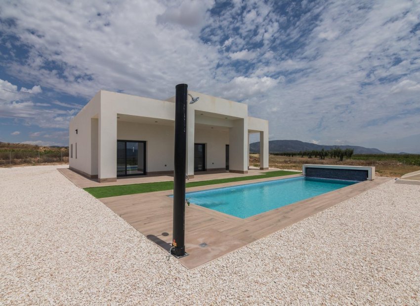 Nouvelle construction - Détaché / Villa -
Pinoso - Lel