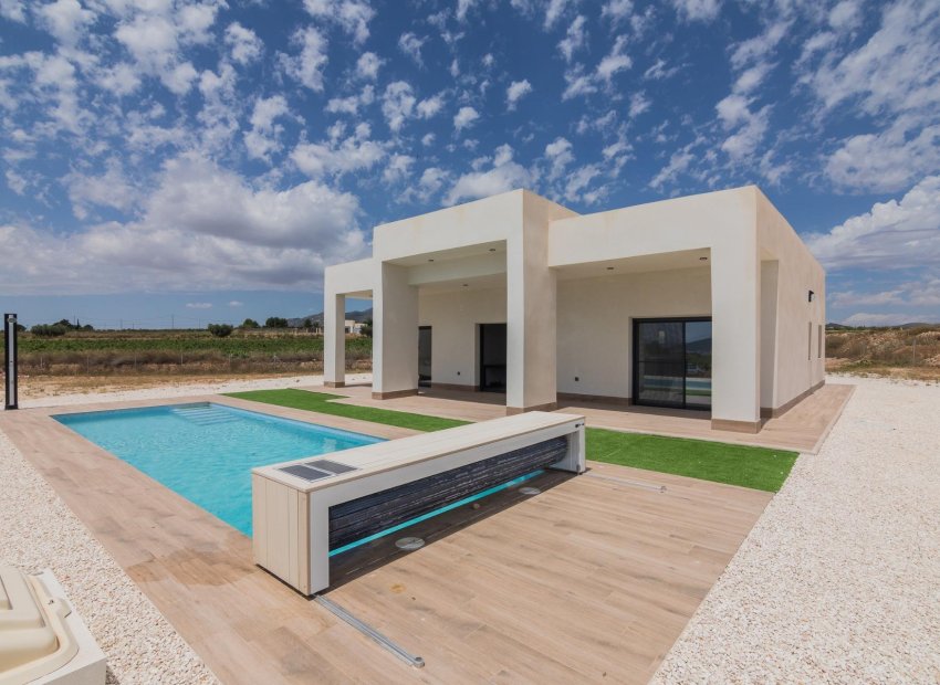 Nouvelle construction - Détaché / Villa -
Pinoso - Lel