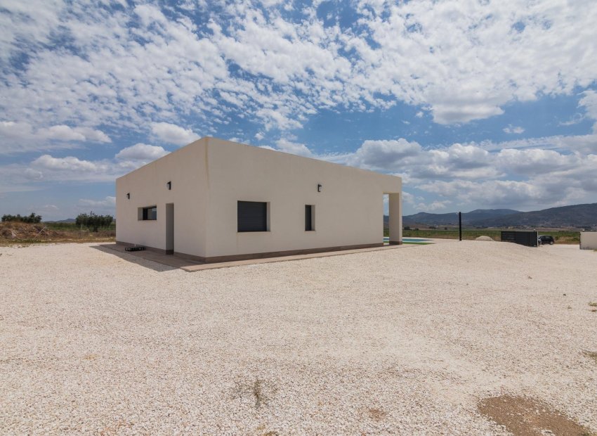 Nouvelle construction - Détaché / Villa -
Pinoso - Lel