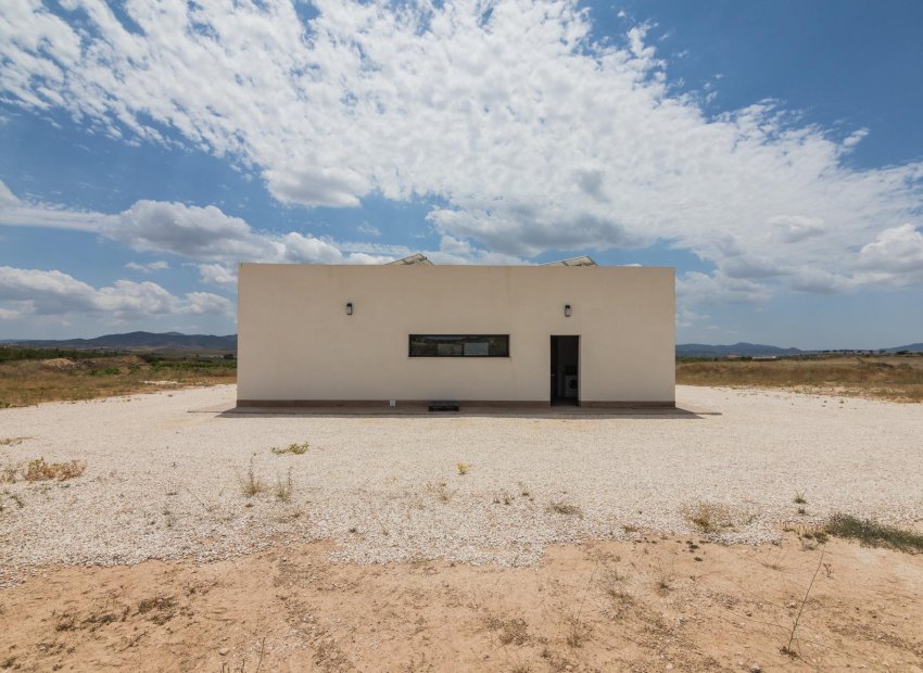 Nouvelle construction - Détaché / Villa -
Pinoso - Lel