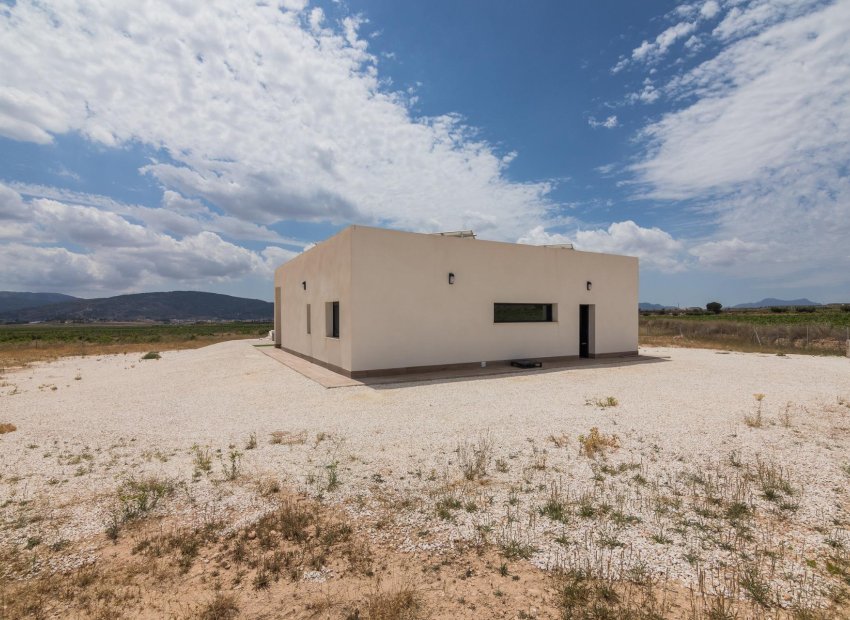 Nouvelle construction - Détaché / Villa -
Pinoso - Lel