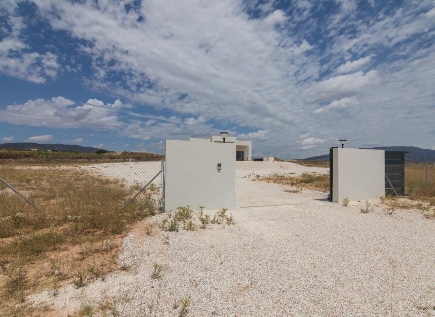 Nouvelle construction - Détaché / Villa -
Pinoso - Lel