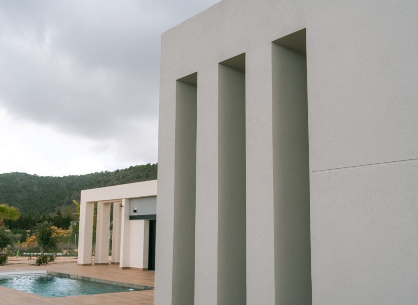 Nouvelle construction - Détaché / Villa -
Pinoso