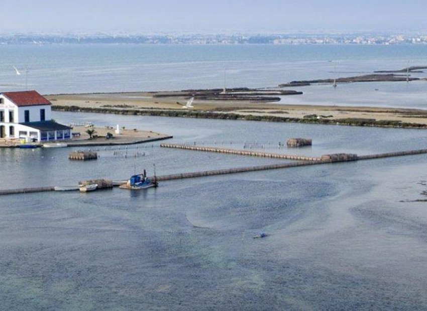Nouvelle construction - Détaché / Villa -
San Pedro del Pinatar - Los Plazas