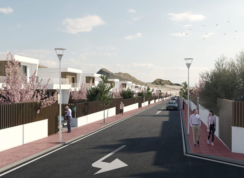 Nouvelle construction - detached -
Murcia
