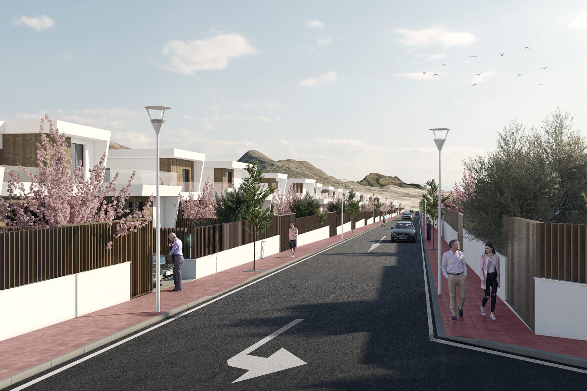 Nouvelle construction - detached -
Murcia