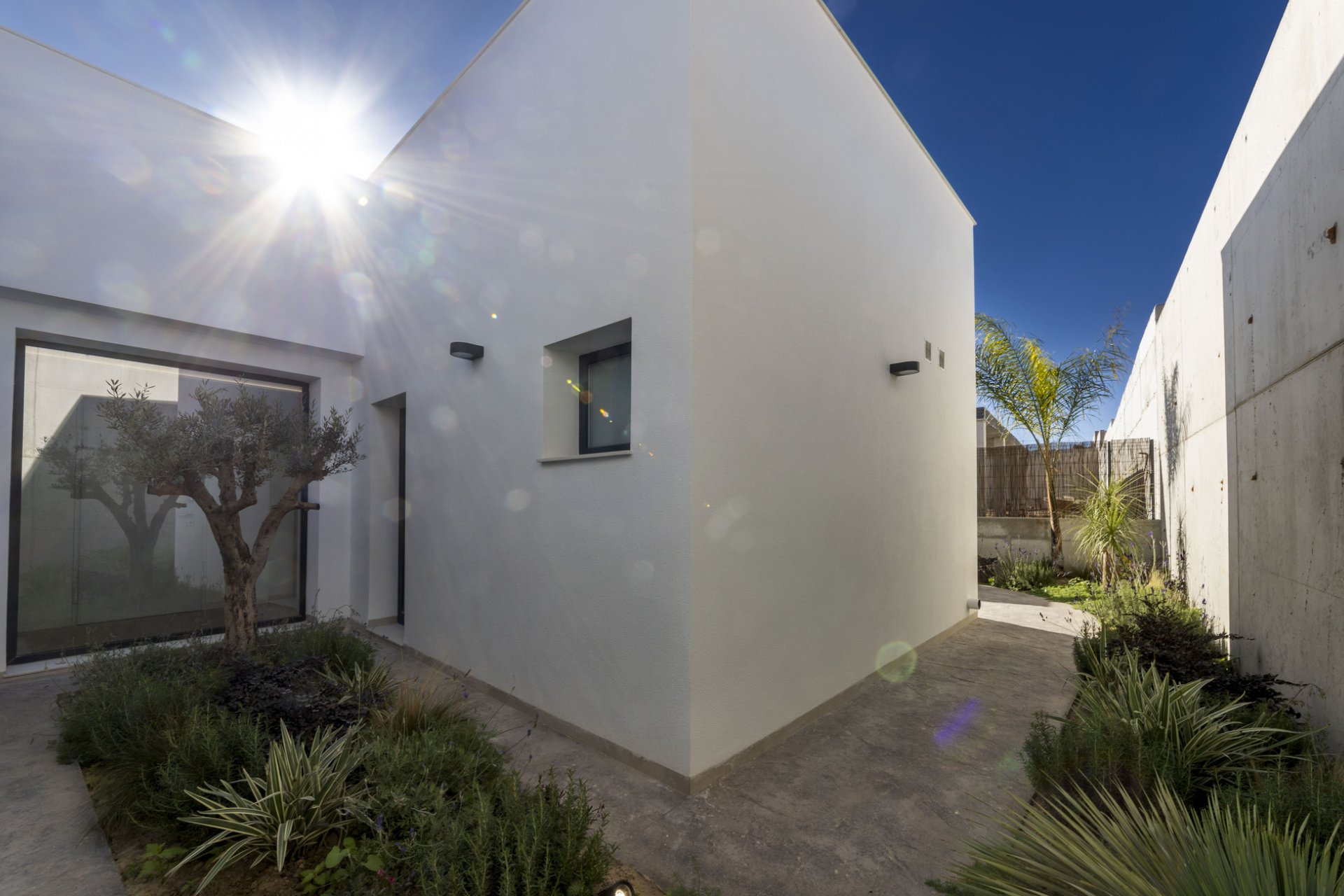 Nouvelle construction - detached -
Murcia