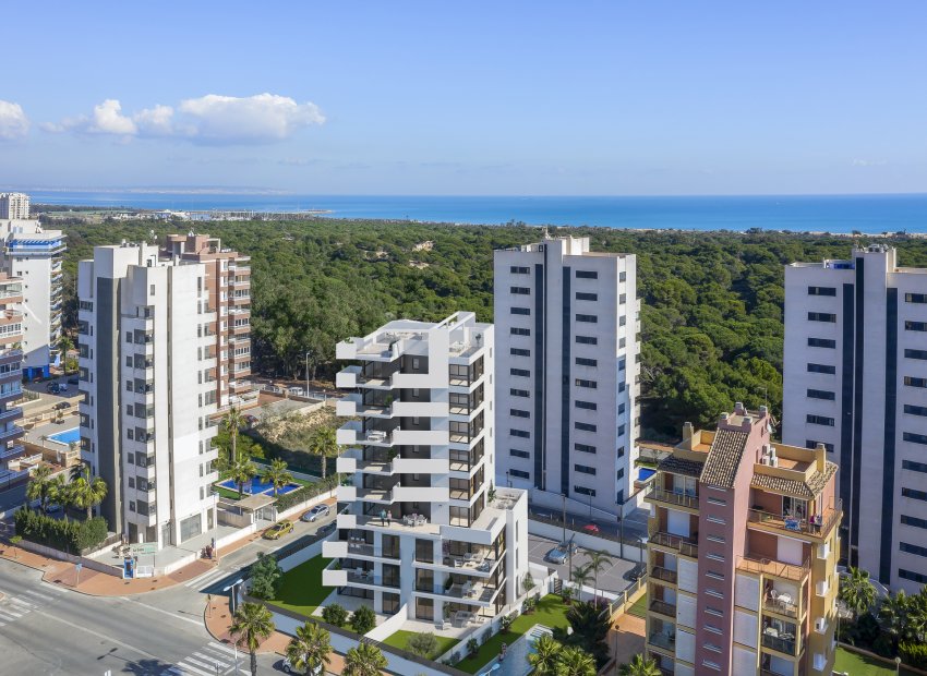 Nouvelle construction - ground-floor -
Guardamar del Segura - Guardamar Del Segura