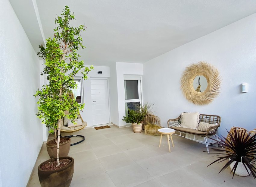 Nouvelle construction - high-bungalow -
Pilar de la Horadada