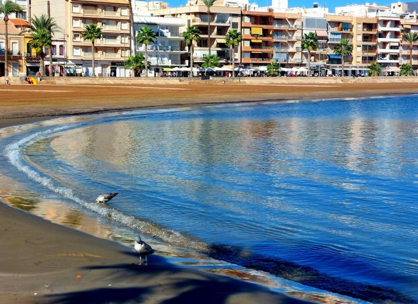 Nouvelle construction - Mitoyenne -
Fuente Álamo - La Pinilla