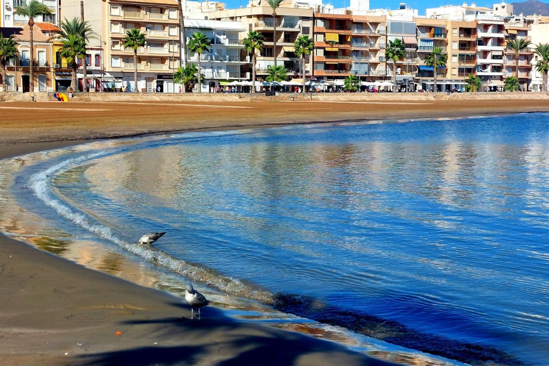 Nouvelle construction - Mitoyenne -
Fuente Álamo - La Pinilla