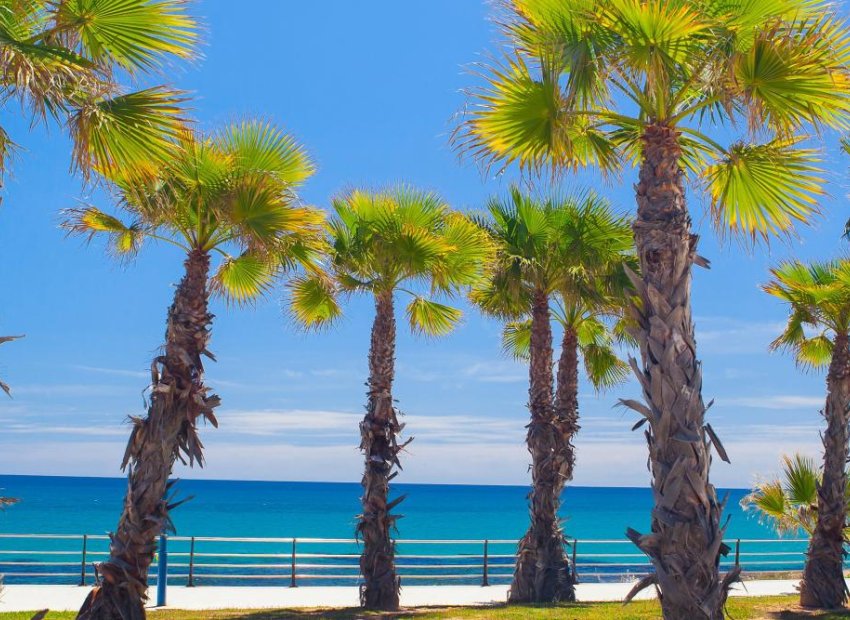 Nouvelle construction - Mitoyenne -
Orihuela Costa