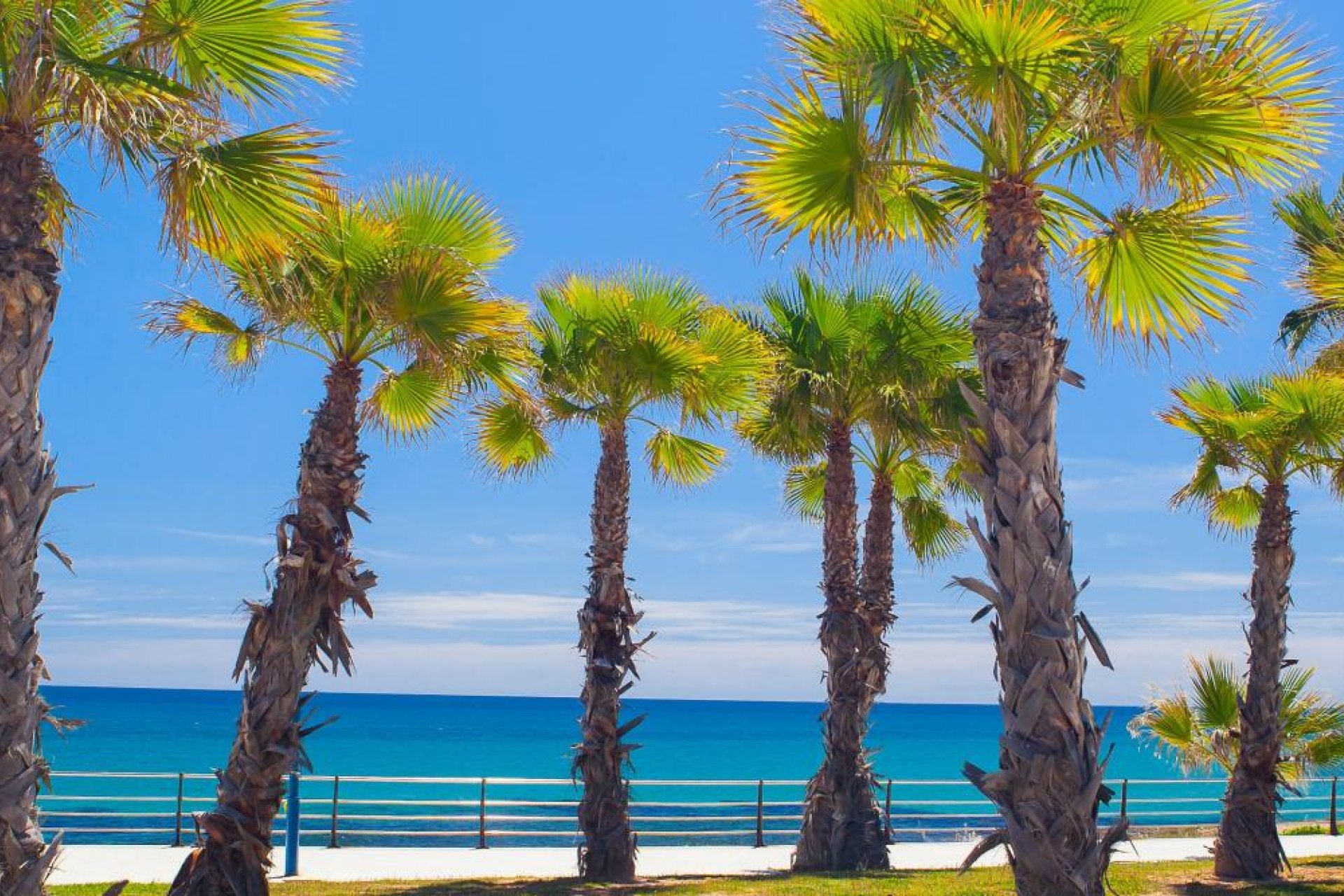 Nouvelle construction - Mitoyenne -
Orihuela Costa