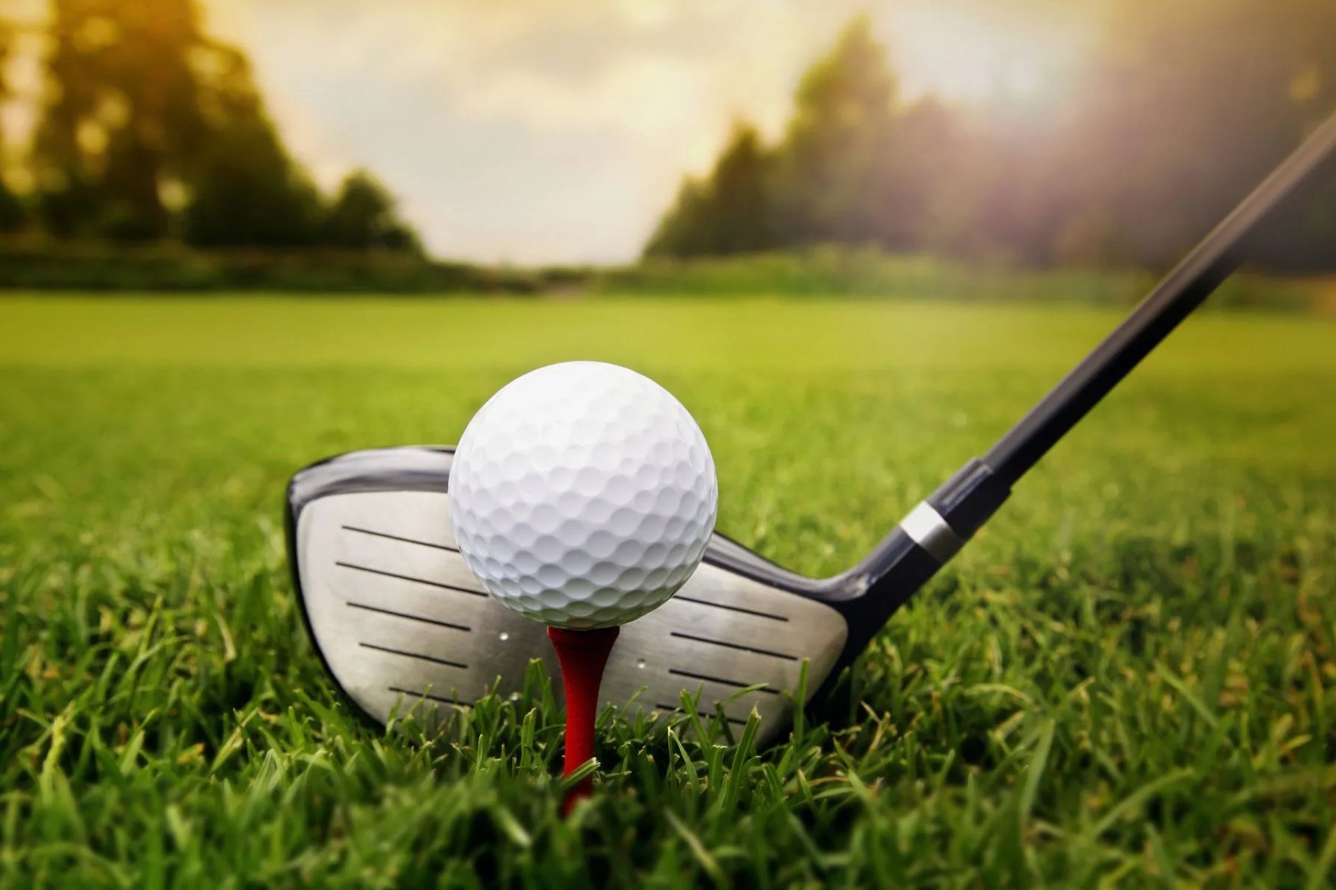 Nouvelle construction - Penthouse -
Guardamar del Segura - El Raso