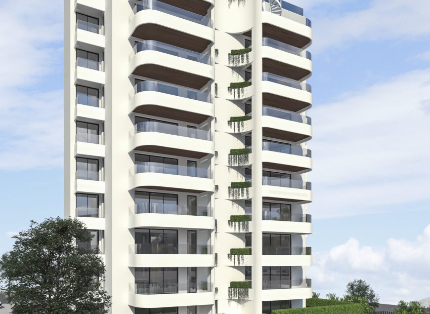 Nouvelle construction - Penthouse -
Guardamar del Segura - Guardamar Del Segura