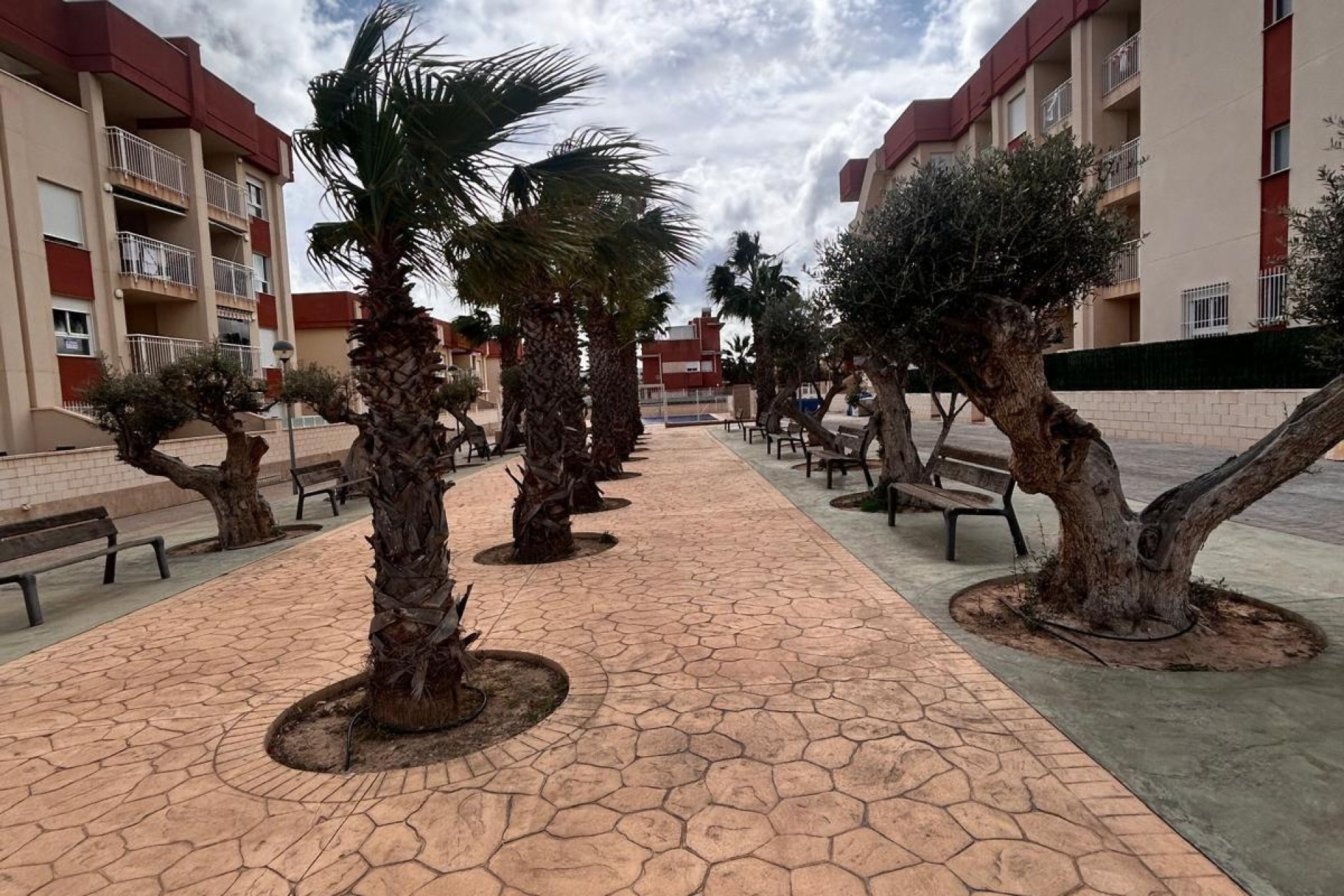 Nouvelle construction - Penthouse -
Orihuela Costa - Lomas de Cabo Roig