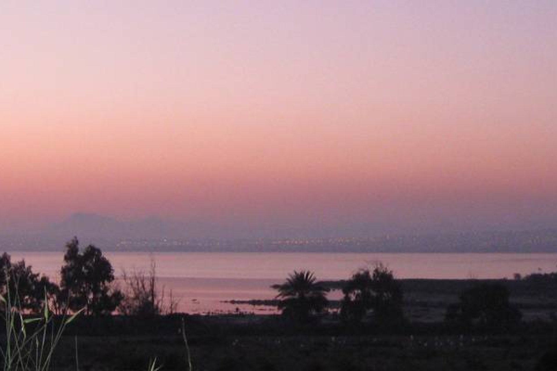 Nouvelle construction - Rez-de-chaussée -
Guardamar del Segura - El Raso