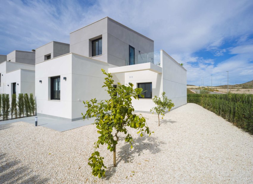 Nouvelle construction - terraced -
Murcia