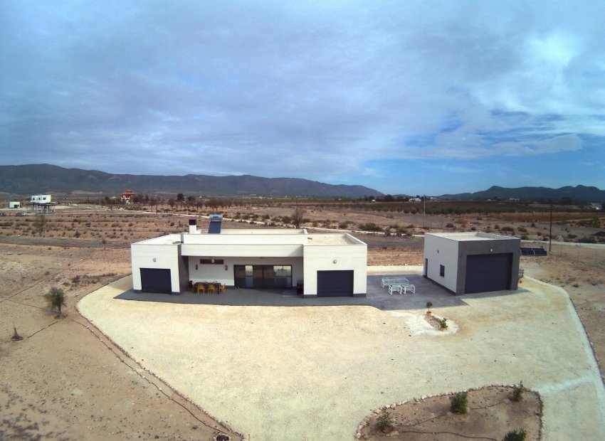 Nouvelle construction - Villa -
Pinoso - Camino Del Prado