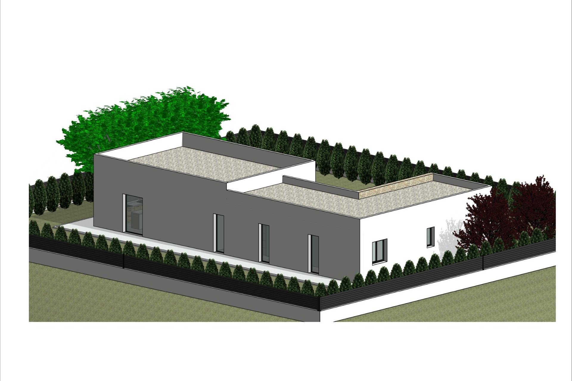 Nouvelle construction - Villa -
Pinoso - Lel