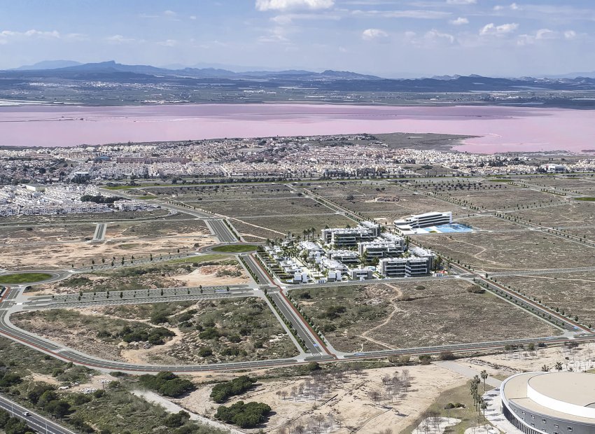 Obra nueva - Adosado -
Torrevieja