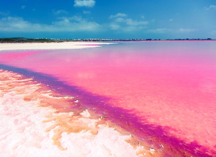 Obra nueva - Adosado -
Torrevieja