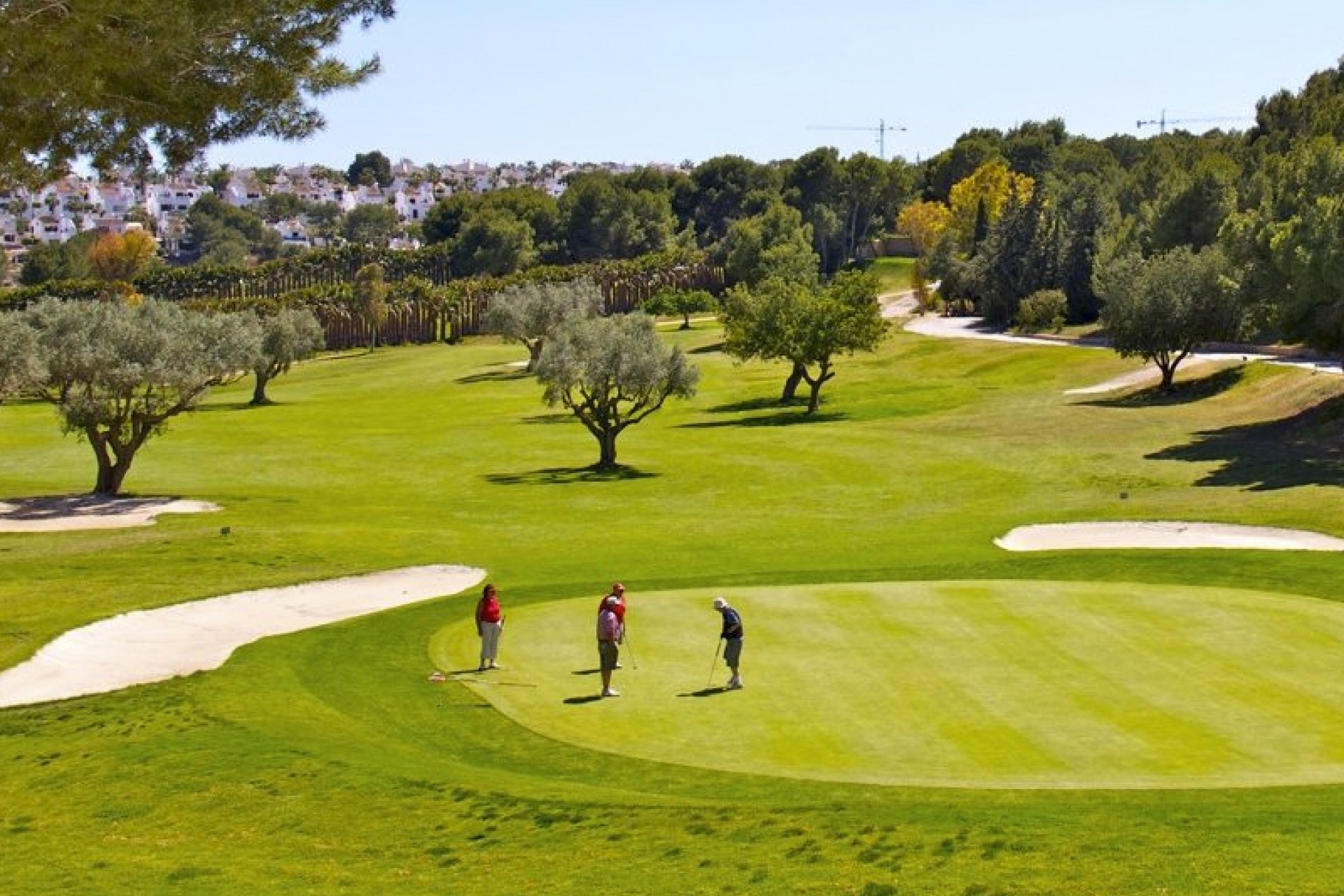 Obra nueva - Adosado -
Torrevieja