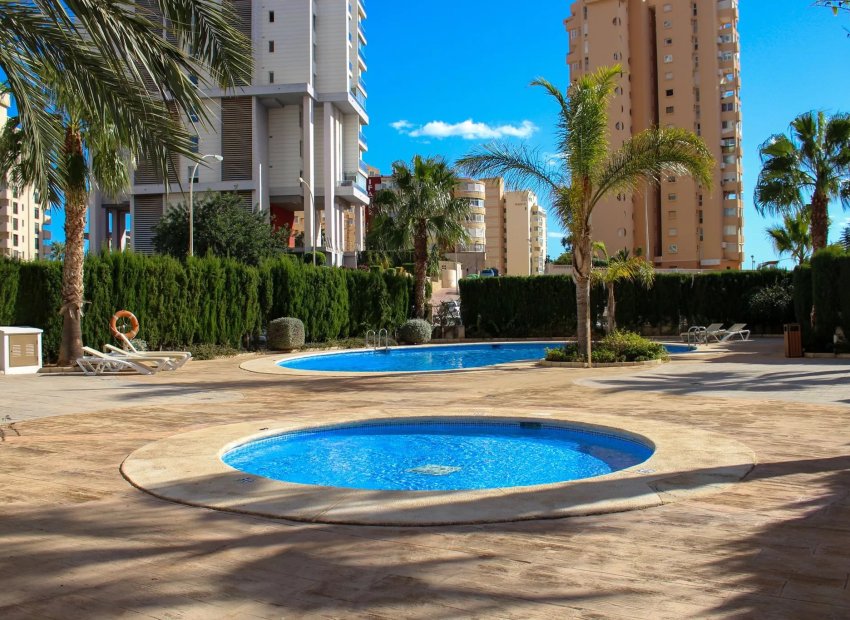 Obra nueva - Apartamento -
Calpe