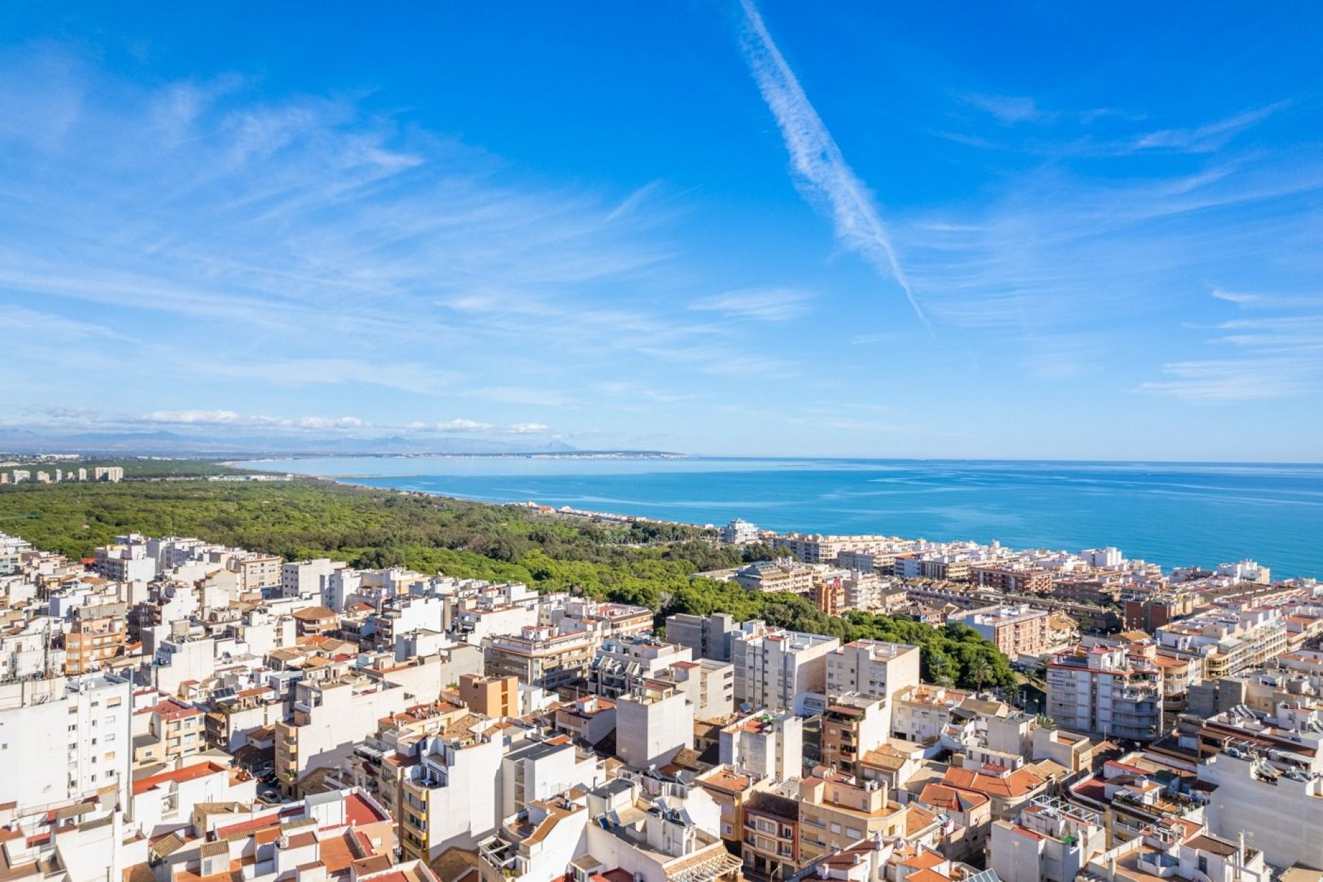 Obra nueva - Apartamento -
Guardamar del Segura - Centro