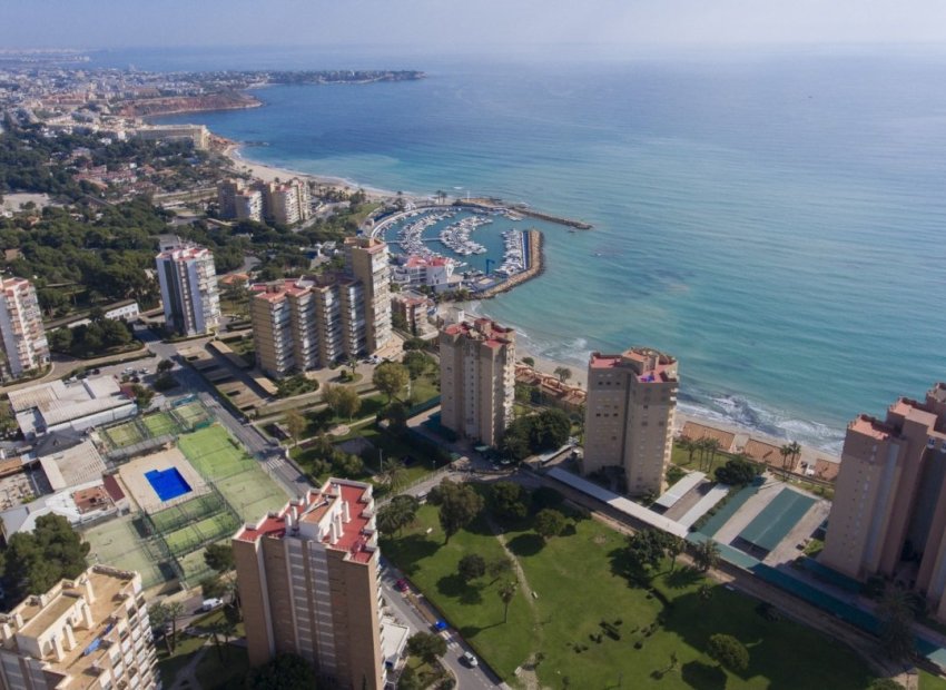 Obra nueva - Apartamento -
Orihuela Costa - Campoamor