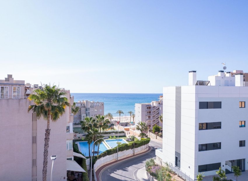 Obra nueva - Ático -
El Campello