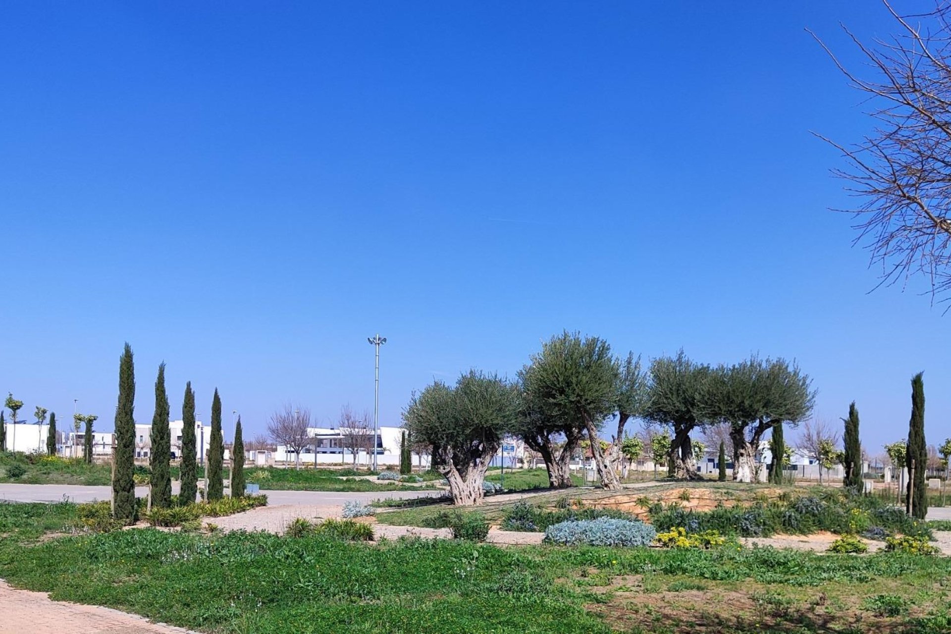 Obra nueva - Ático -
Torre Pacheco - Centro