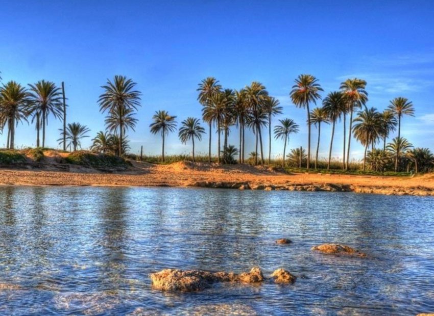 Obra nueva - Ático -
Torrevieja - Playa de El Cura