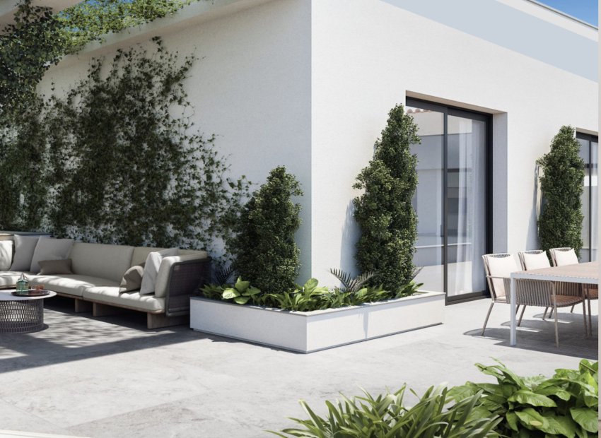 Obra nueva - Ático -
Torrevieja