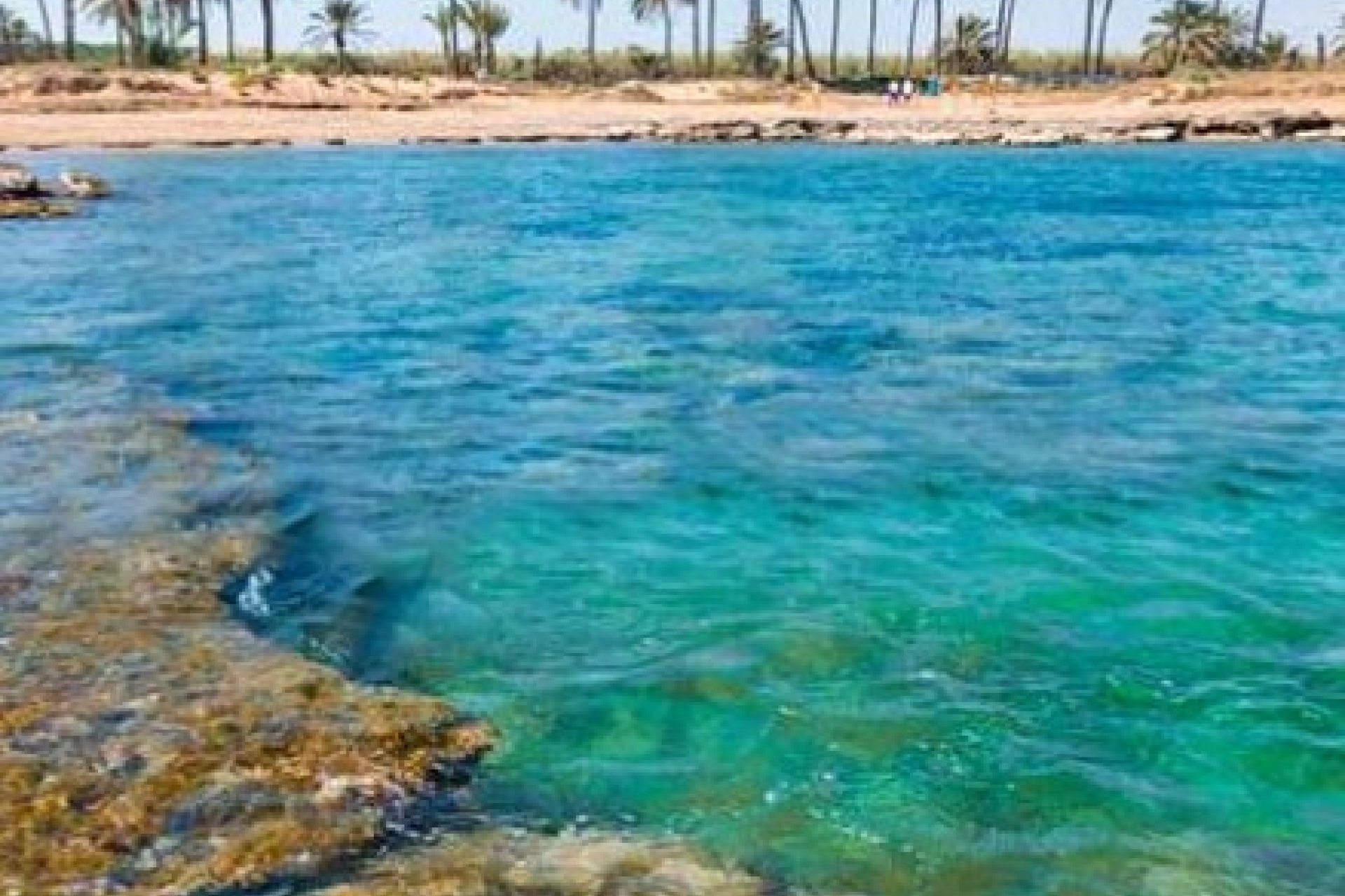 Obra nueva - Ático -
Torrevieja