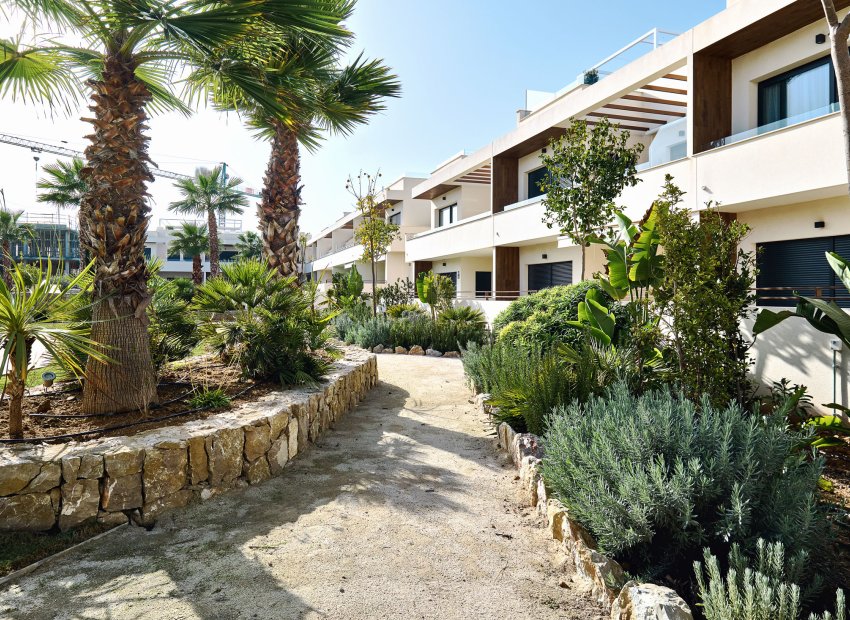 Obra nueva - Bungalow - Planta Baja -
Torrevieja