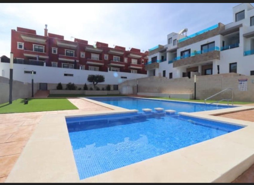 Obra nueva - Casa adosada -
Bigastro