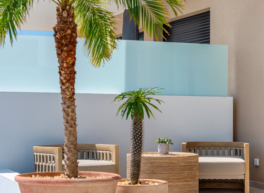 Obra nueva - Casa adosada -
Dolores