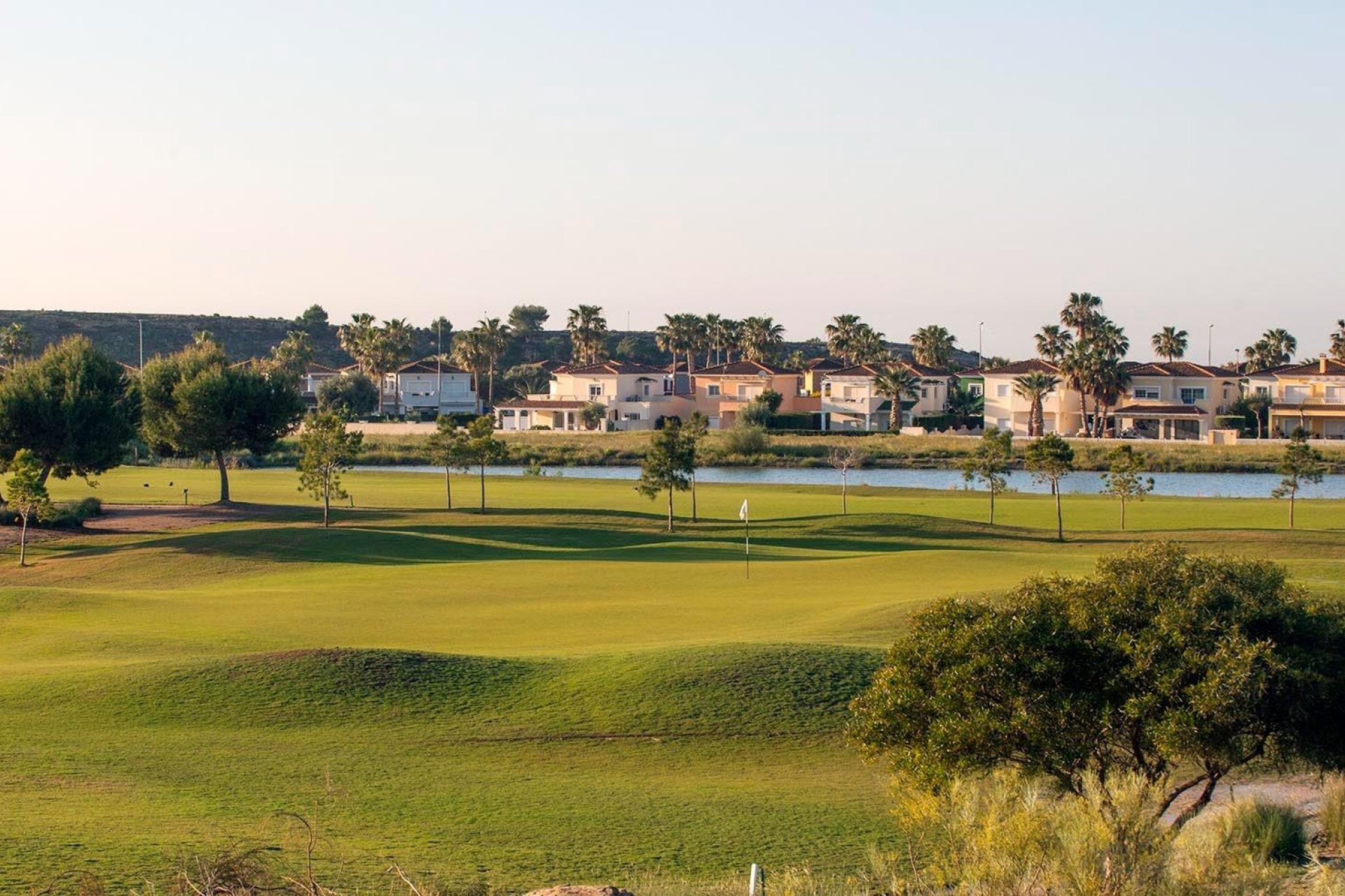 Obra nueva - Casa adosada -
Murcia - Altaona Golf And Country Village