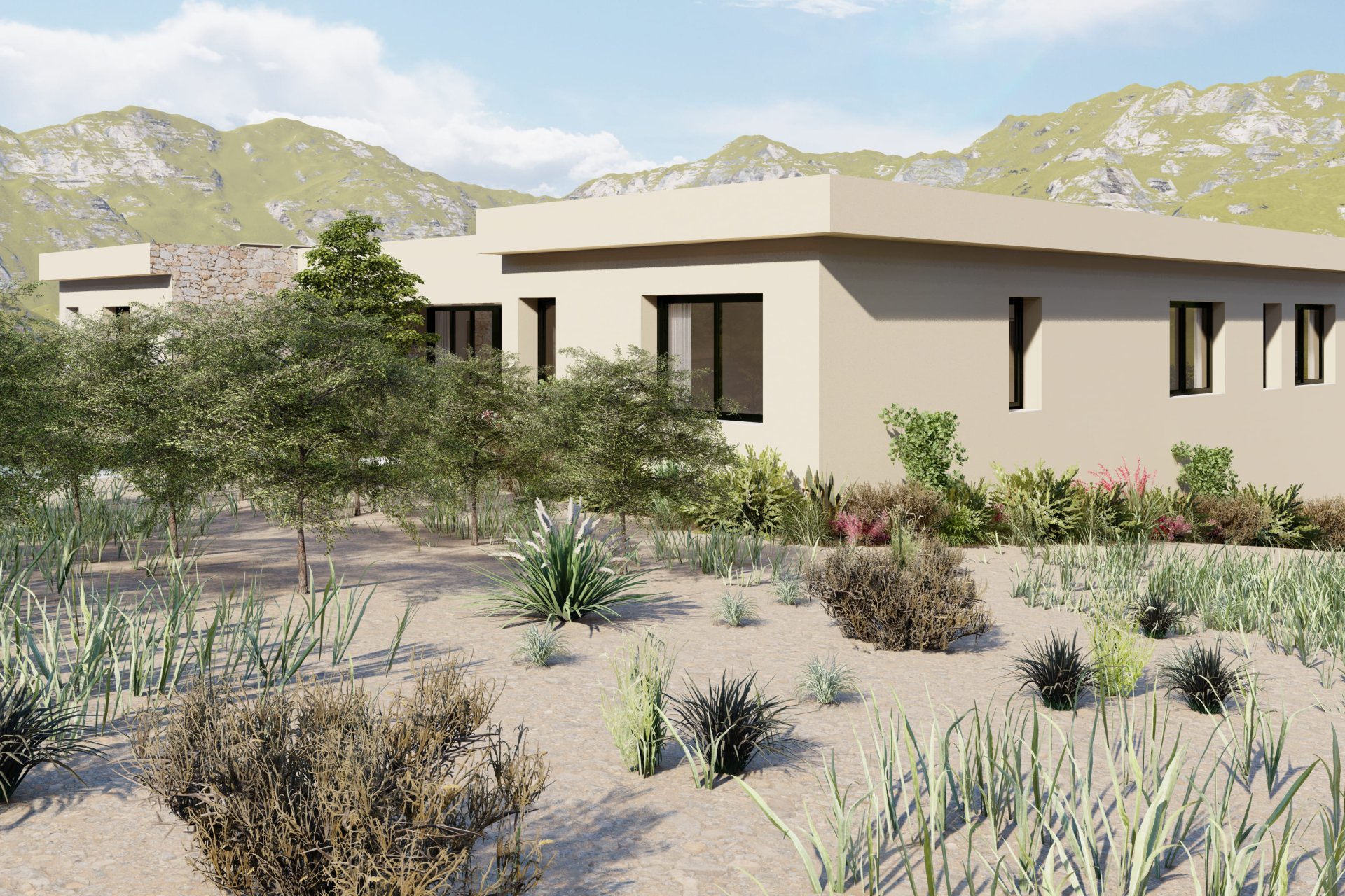 Obra nueva - detached -
Yecla