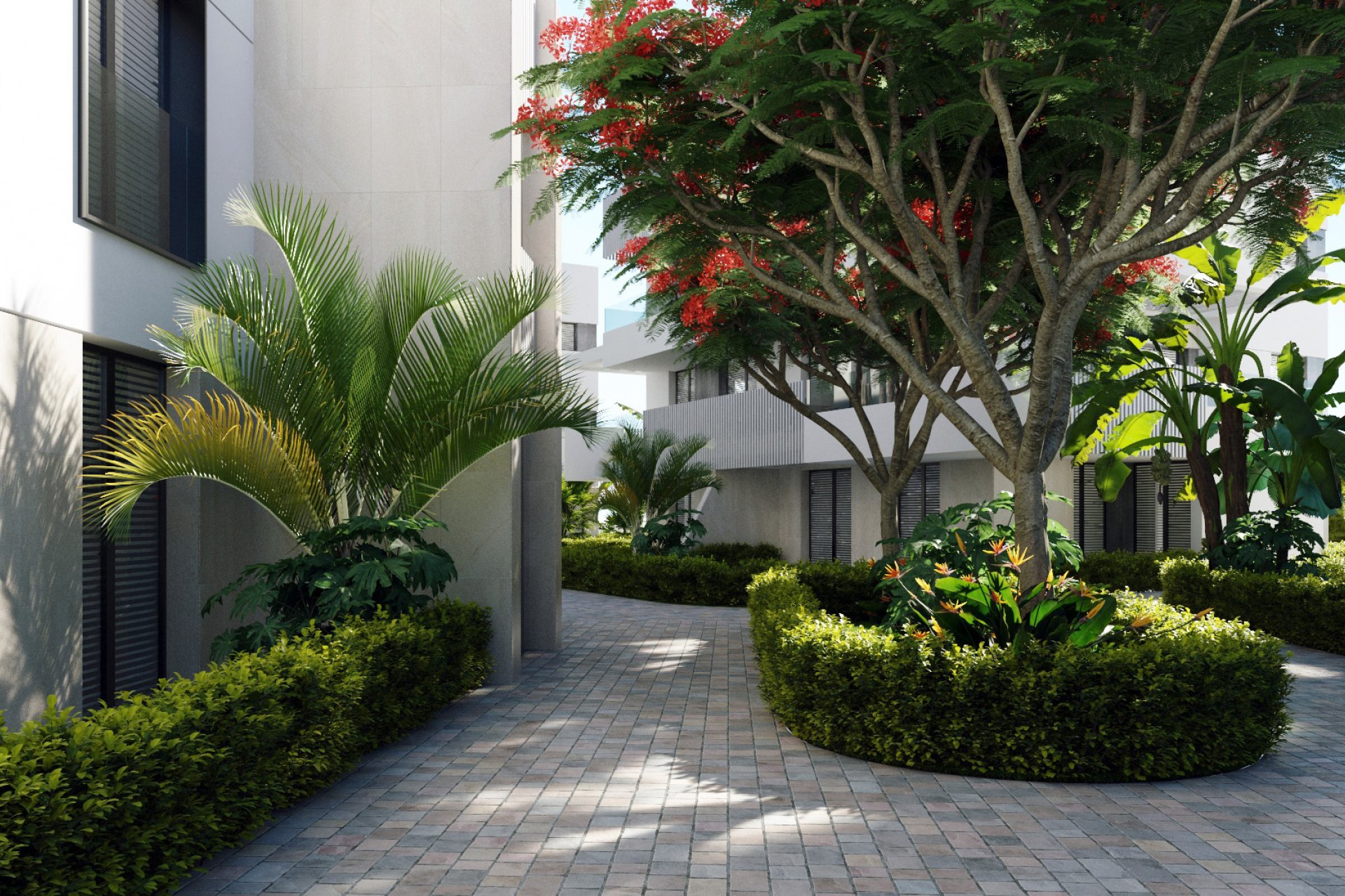 Obra nueva - ground-floor -
Torre-Pacheco