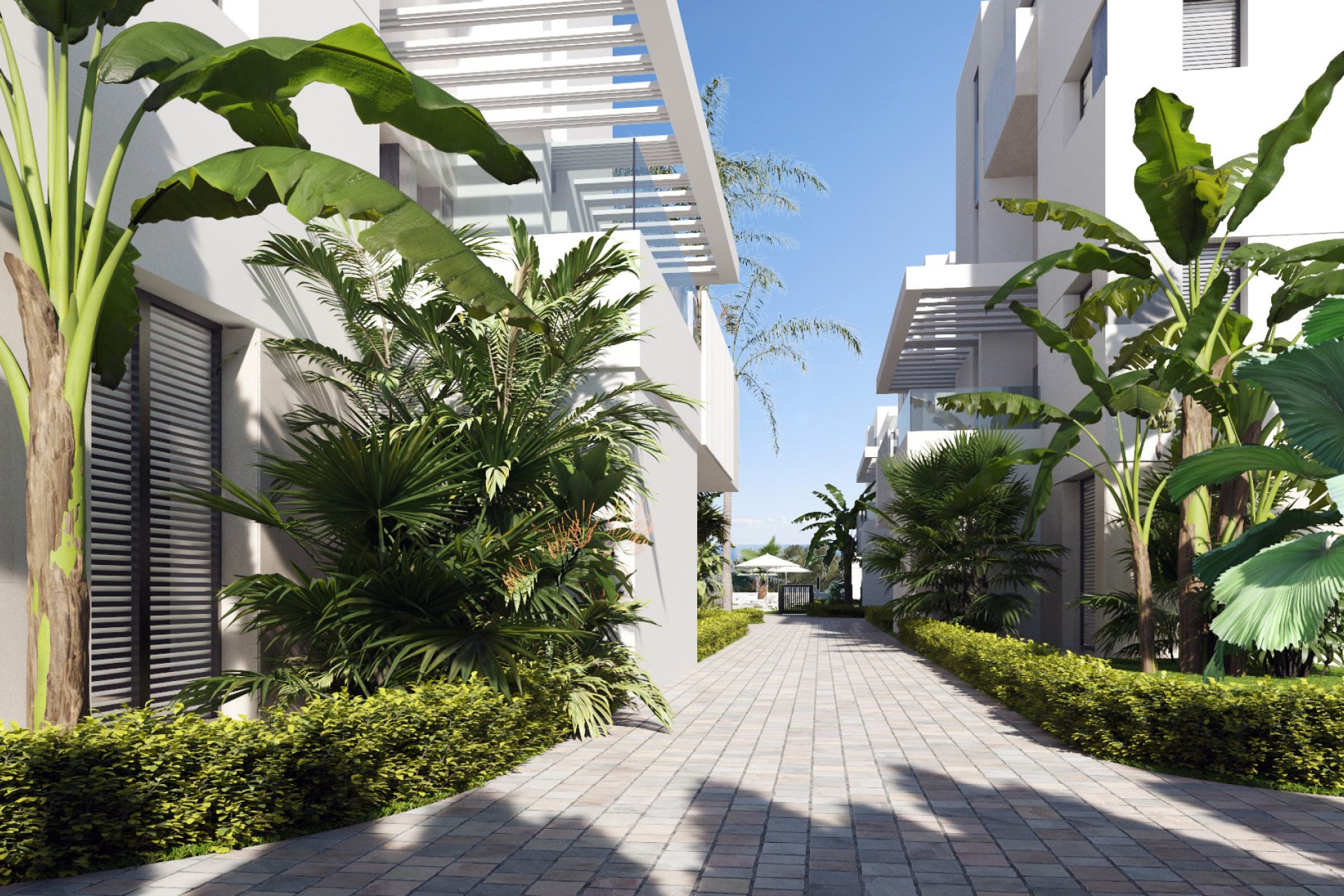Obra nueva - ground-floor -
Torre-Pacheco