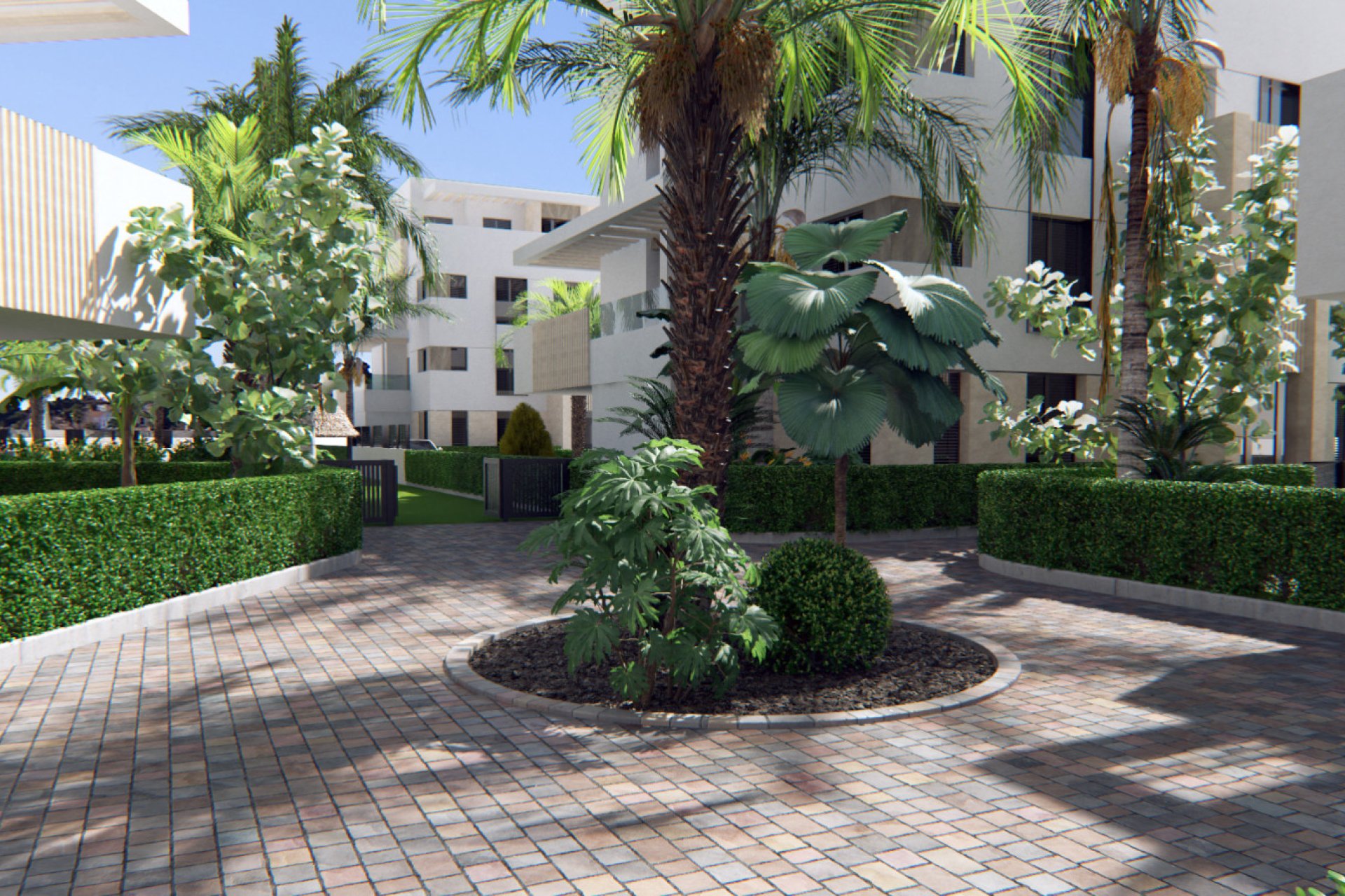 Obra nueva - ground-floor -
Torre-Pacheco
